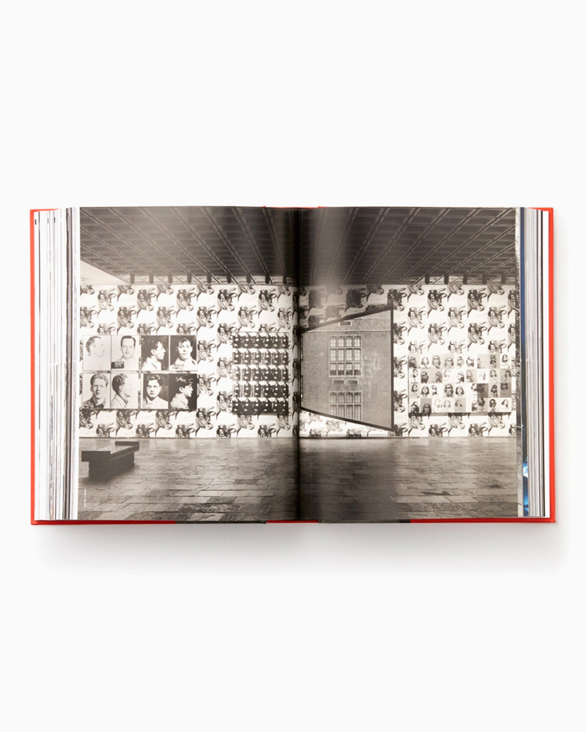 Books Magazines Andy Warhol "Giant" Size Phaidon Editors By Dave Hickey - 9780714863733