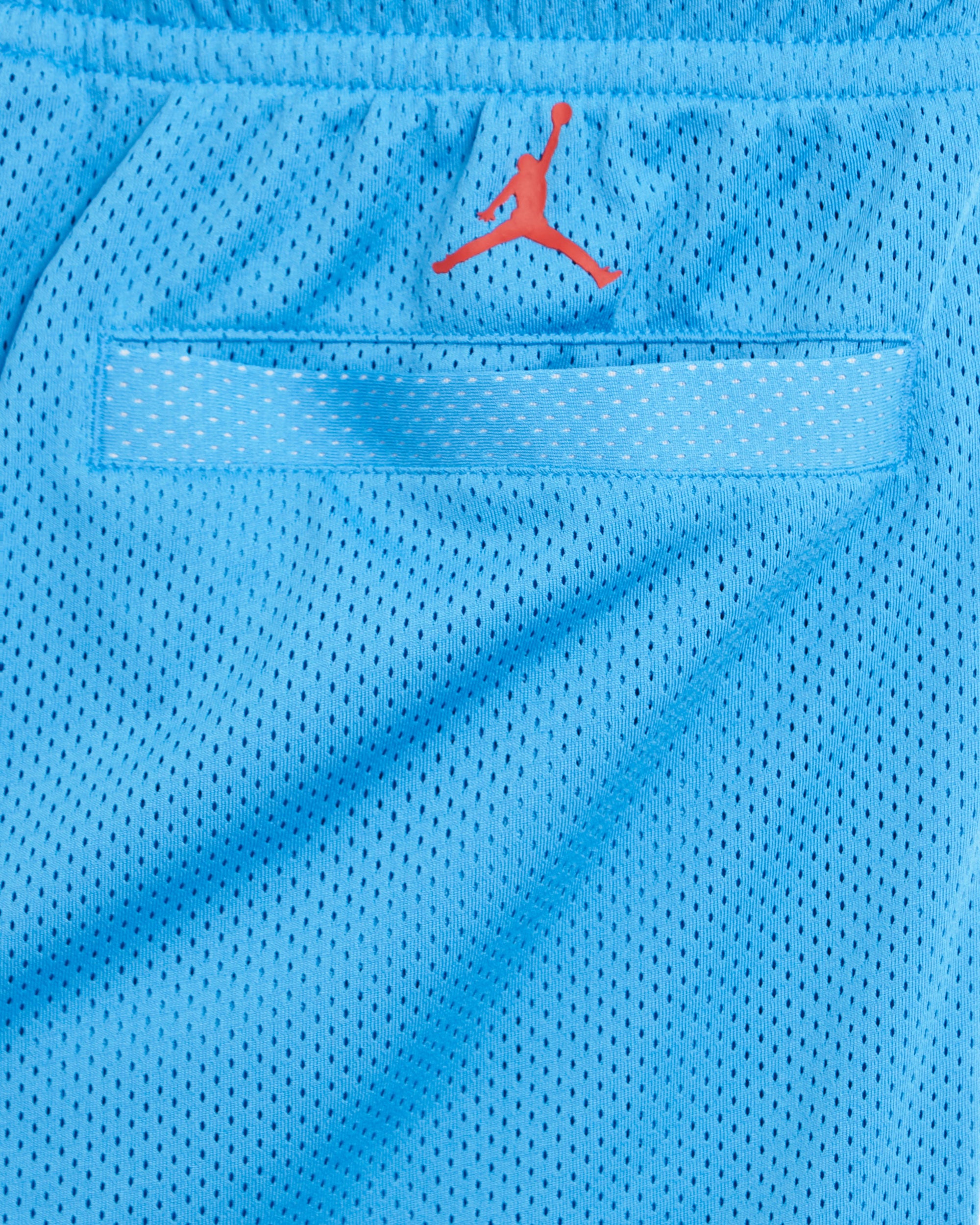 Shorts Jordan Artist Series By Darien Birks Men's Shorts Men's Shorts - HF5474-462