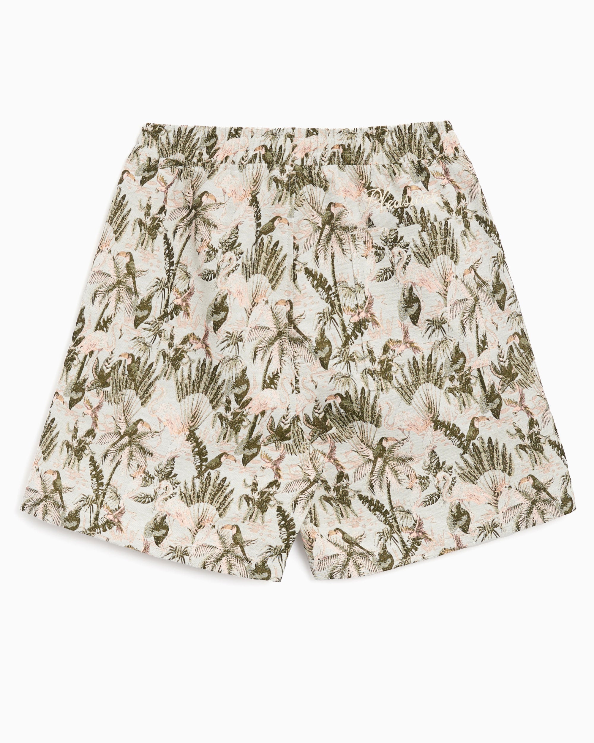 Shorts Pleasures Parrot Men's Shorts Men's Shorts - P24SP029-GREY