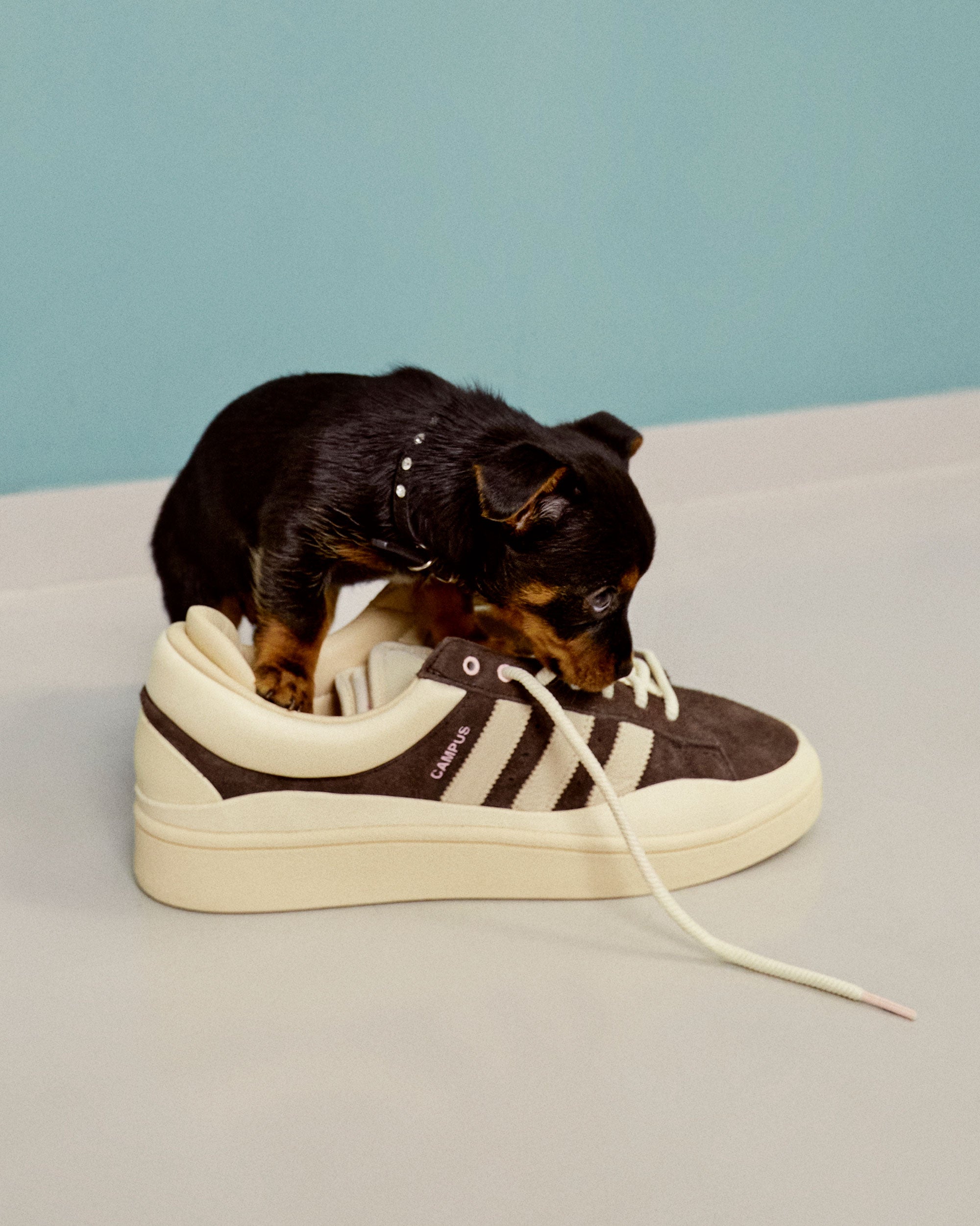 Sneakers adidas Originals x Bad Bunny Campus - ID2534