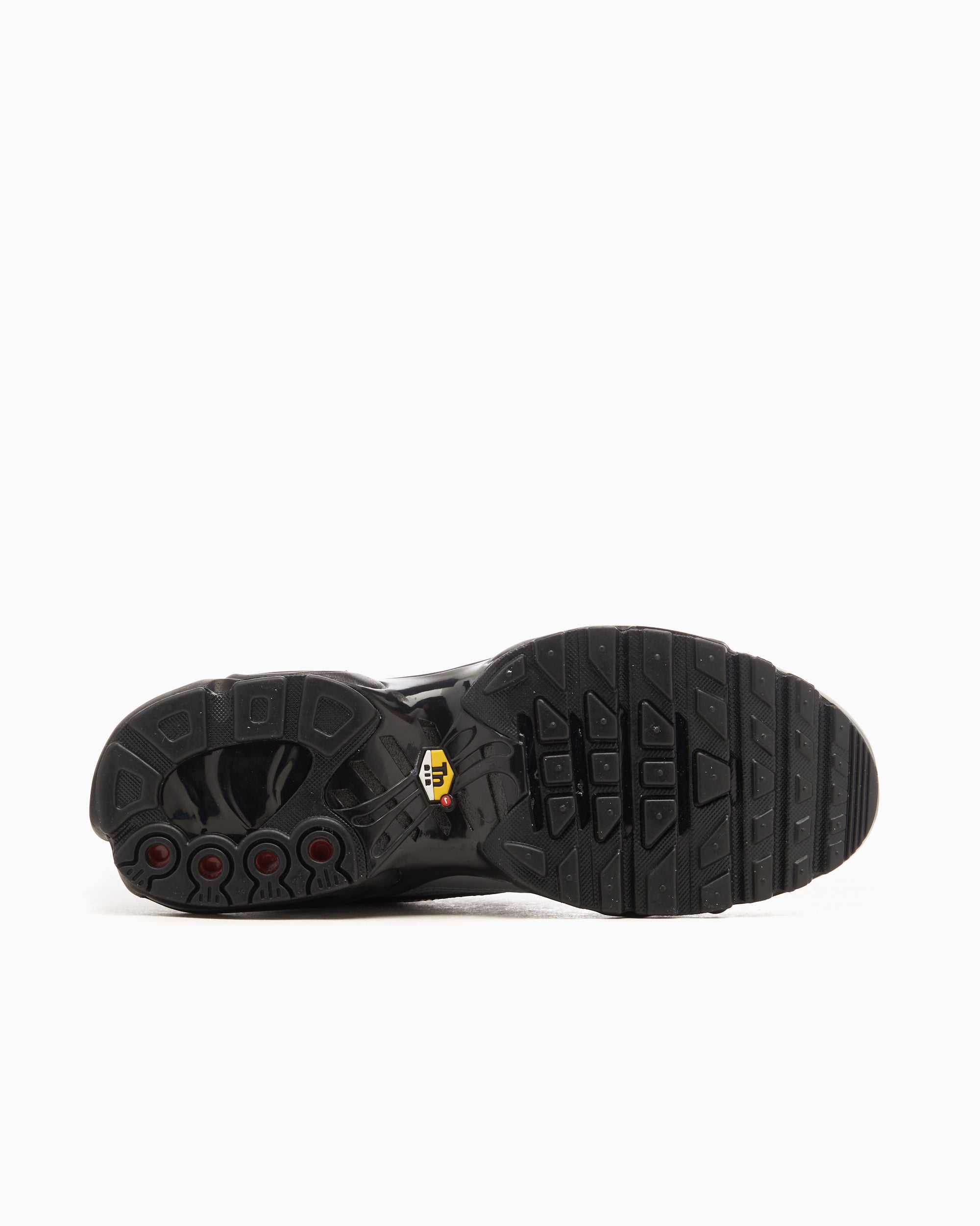 Sneakers Nike Air Max Plus Tiempo "Wolf Grey" - HM6850-001