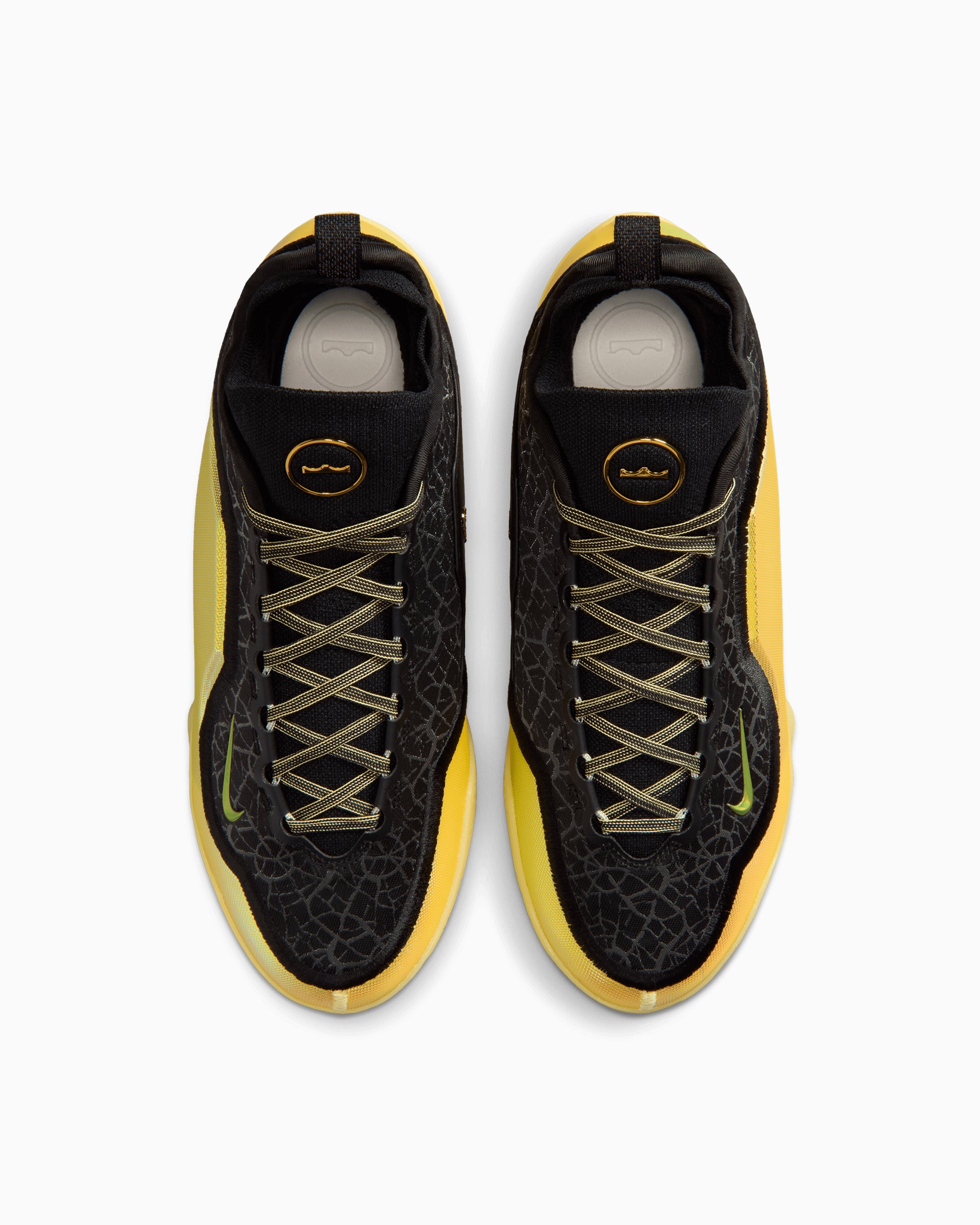 Sneakers Nike LeBron 23 Elite "Hurt Feelings Write History" - IB9557-002