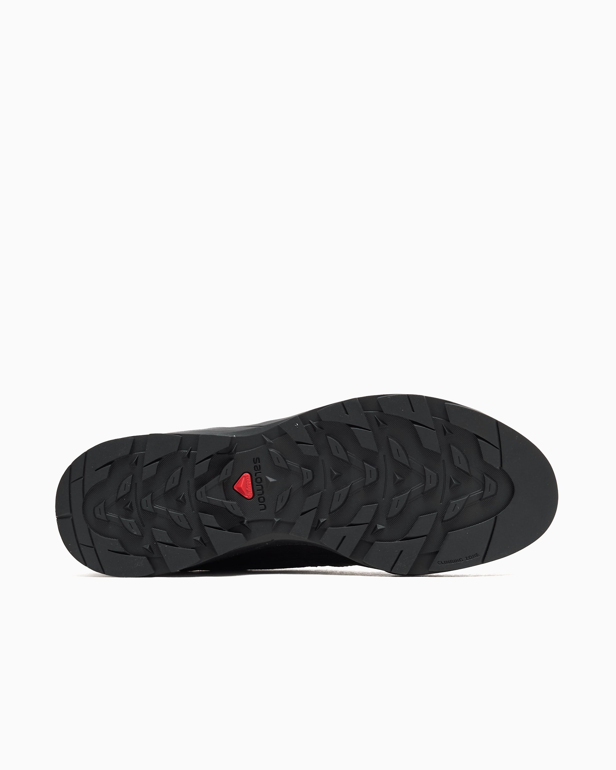 Sneakers Salomon Advanced x Carhartt WIP X-ALP - L49165500