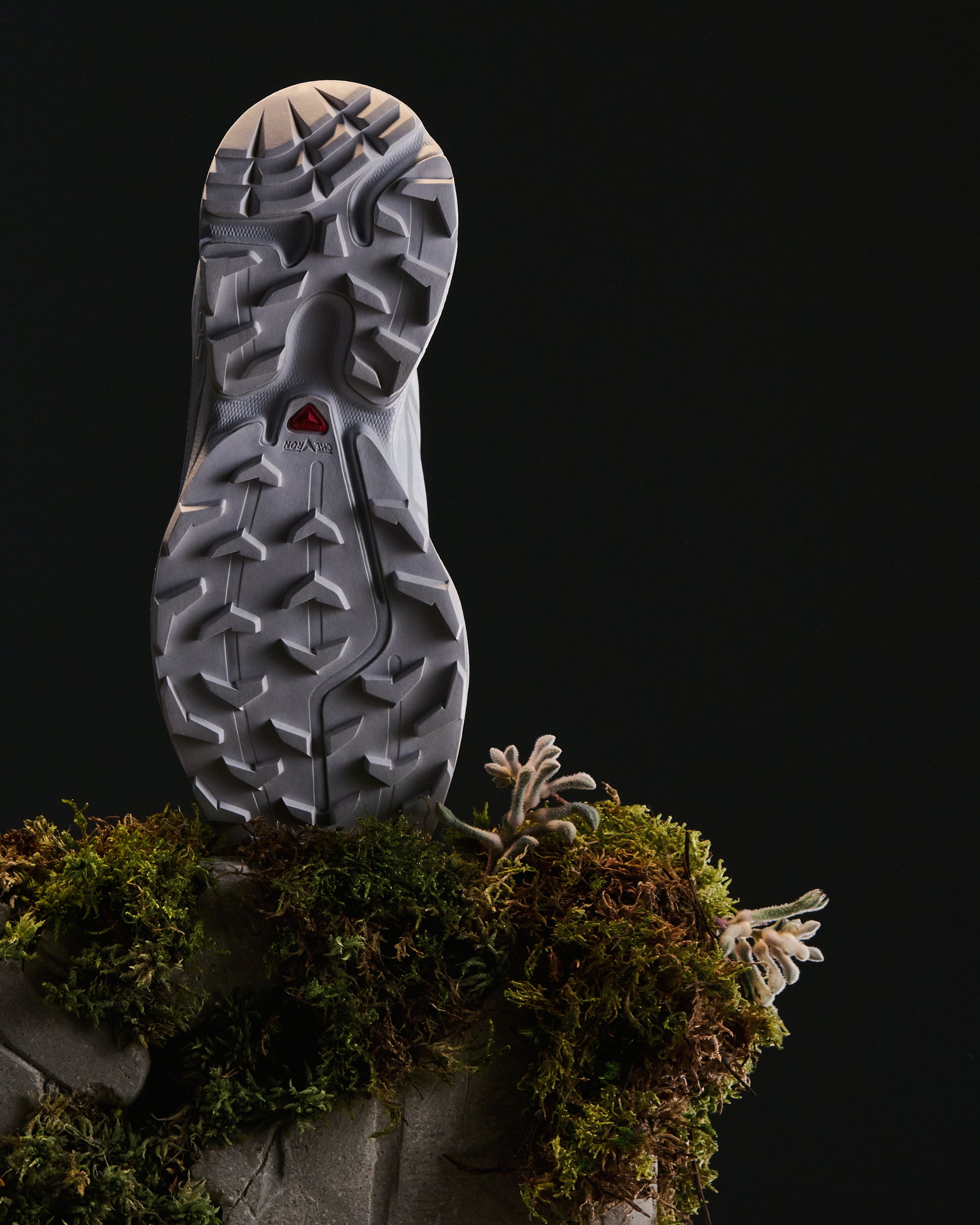 Sneakers Salomon Advanced XT-6 - L41252900