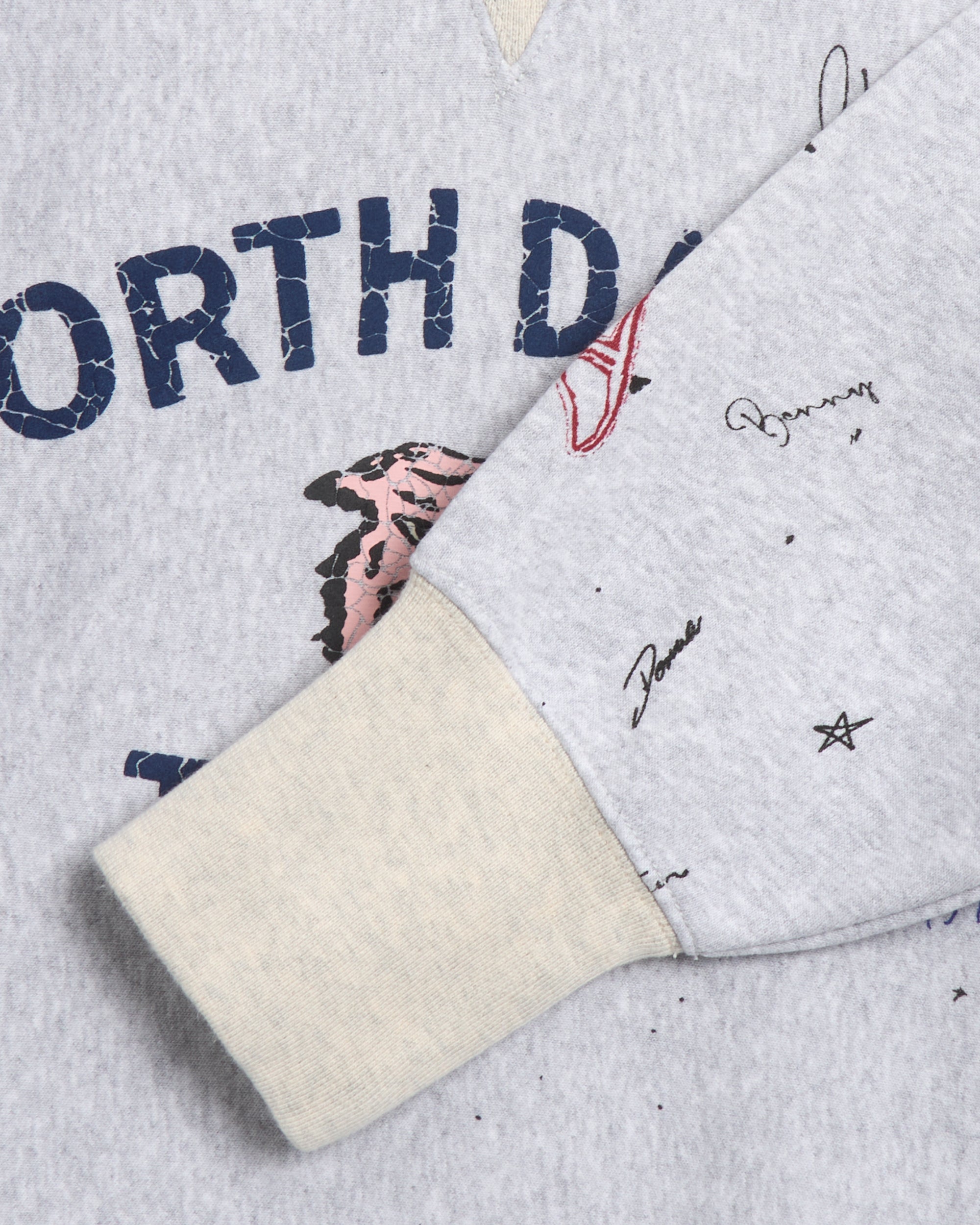 Sweatshirts Champion Index+Archives Men's Sweatshirt Men's Sweatshirt - 220635-EL004