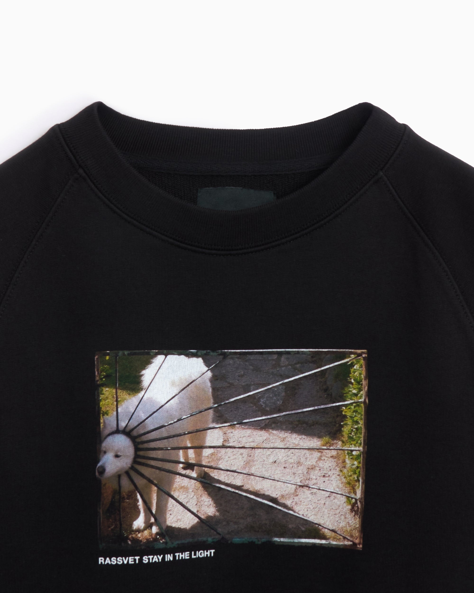 Sweatshirts Rassvet Dog Logo Men's Knit Sweatshirt Men's Sweatshirt - PACC16T021-1