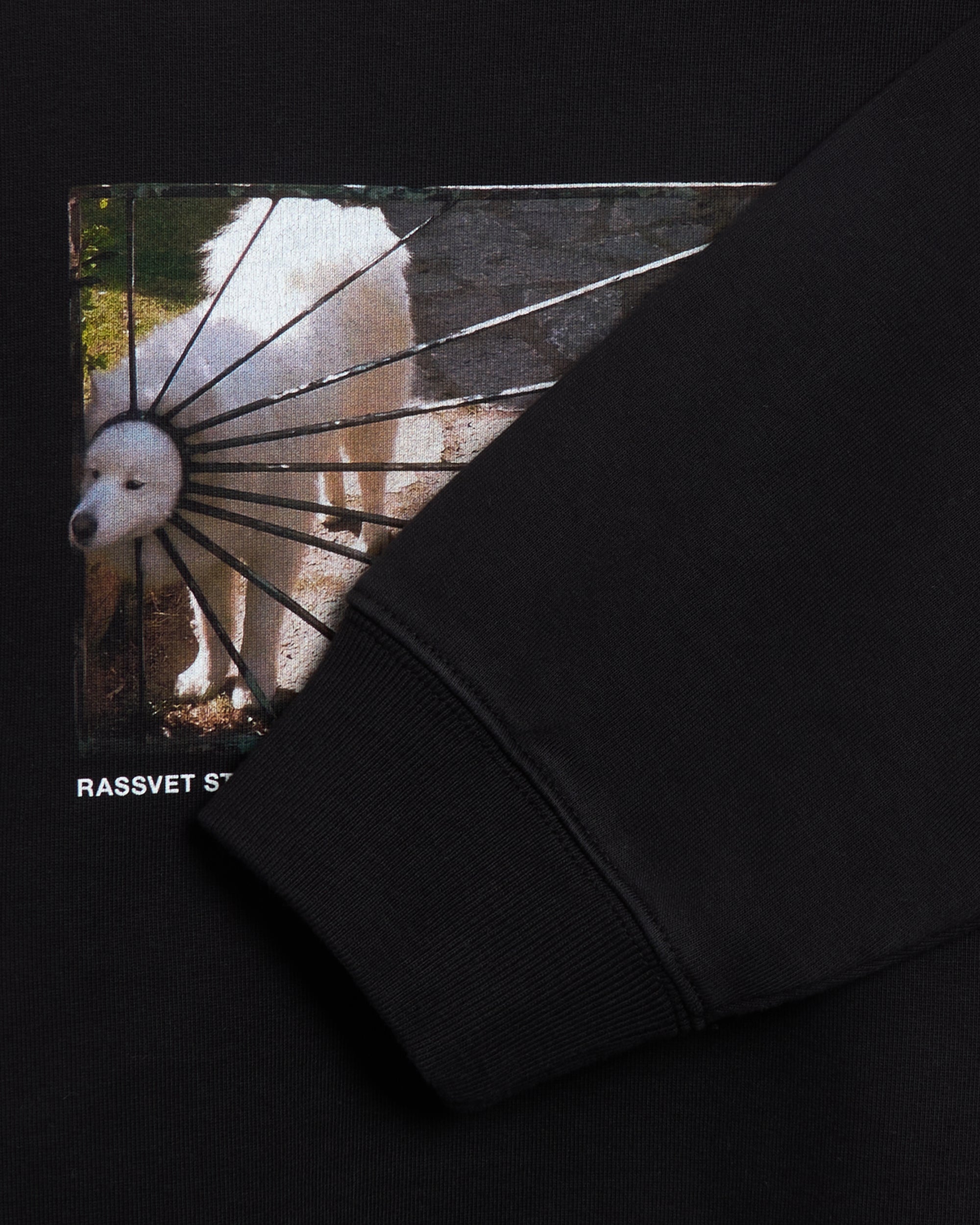 Sweatshirts Rassvet Dog Logo Men's Knit Sweatshirt Men's Sweatshirt - PACC16T021-1