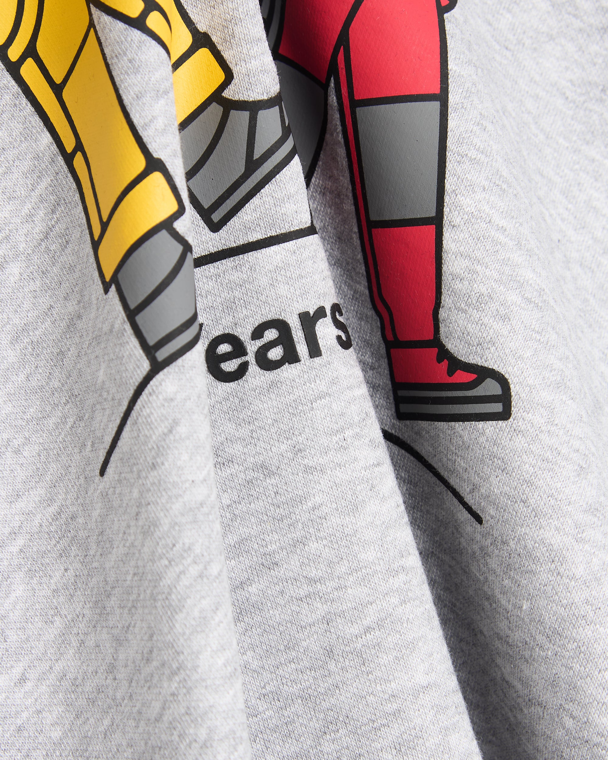 Sweatshirts The North Face Celebration Graphic Relaxed Unisex Sweatshirt - NF0A8GATDYX1