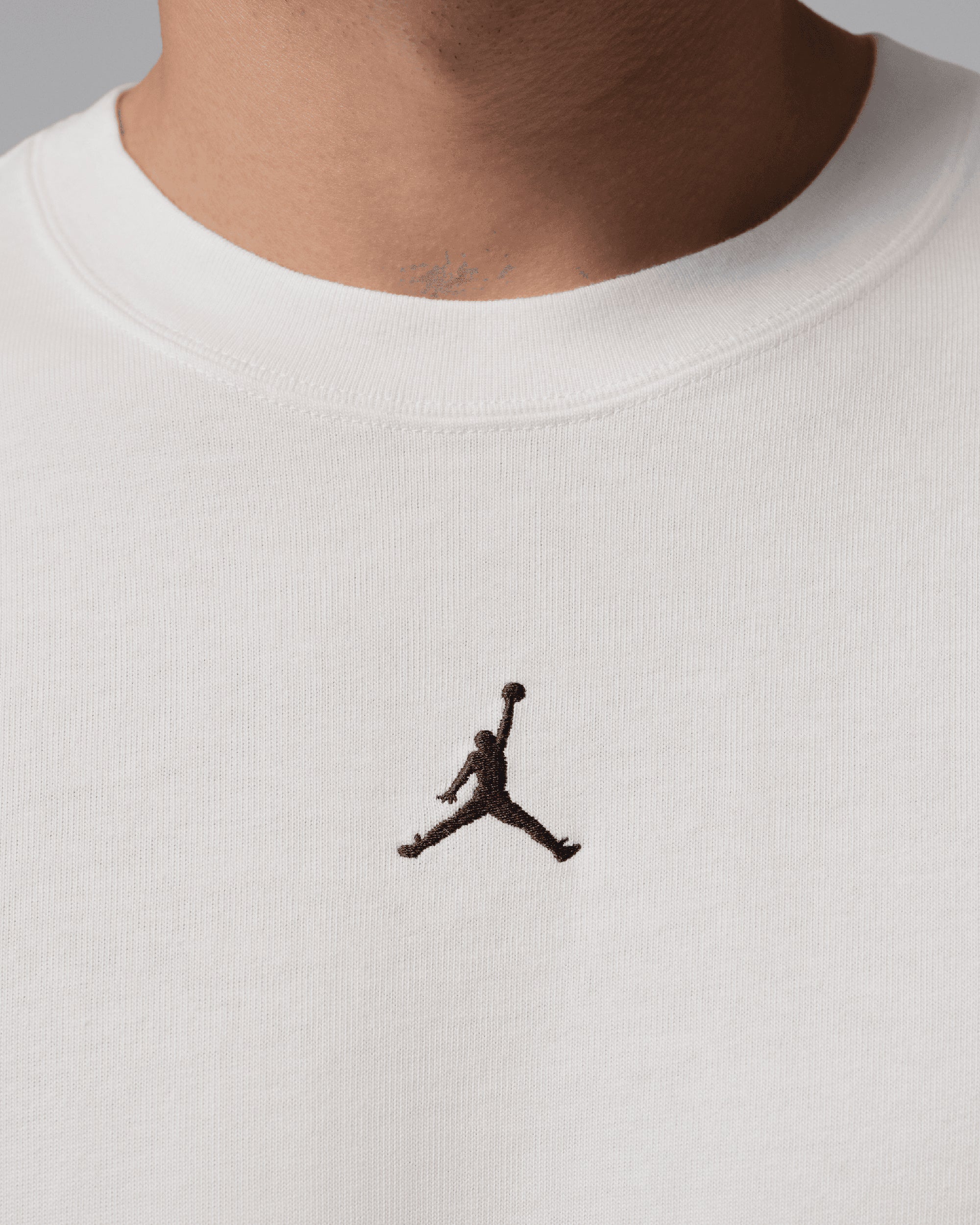 T-Shirts Jordan Heavyweight Logo Relaxed Men's T-Shirt - IF1911-133