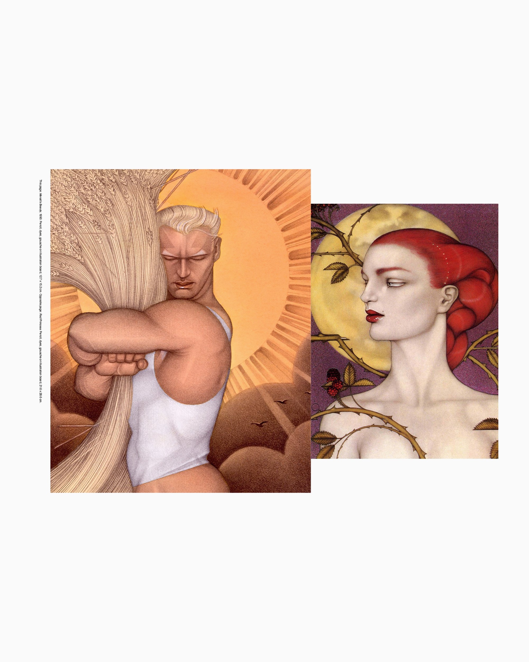 Books Magazines apartamento Mel Odom: Gorgeous! - 9788409638987