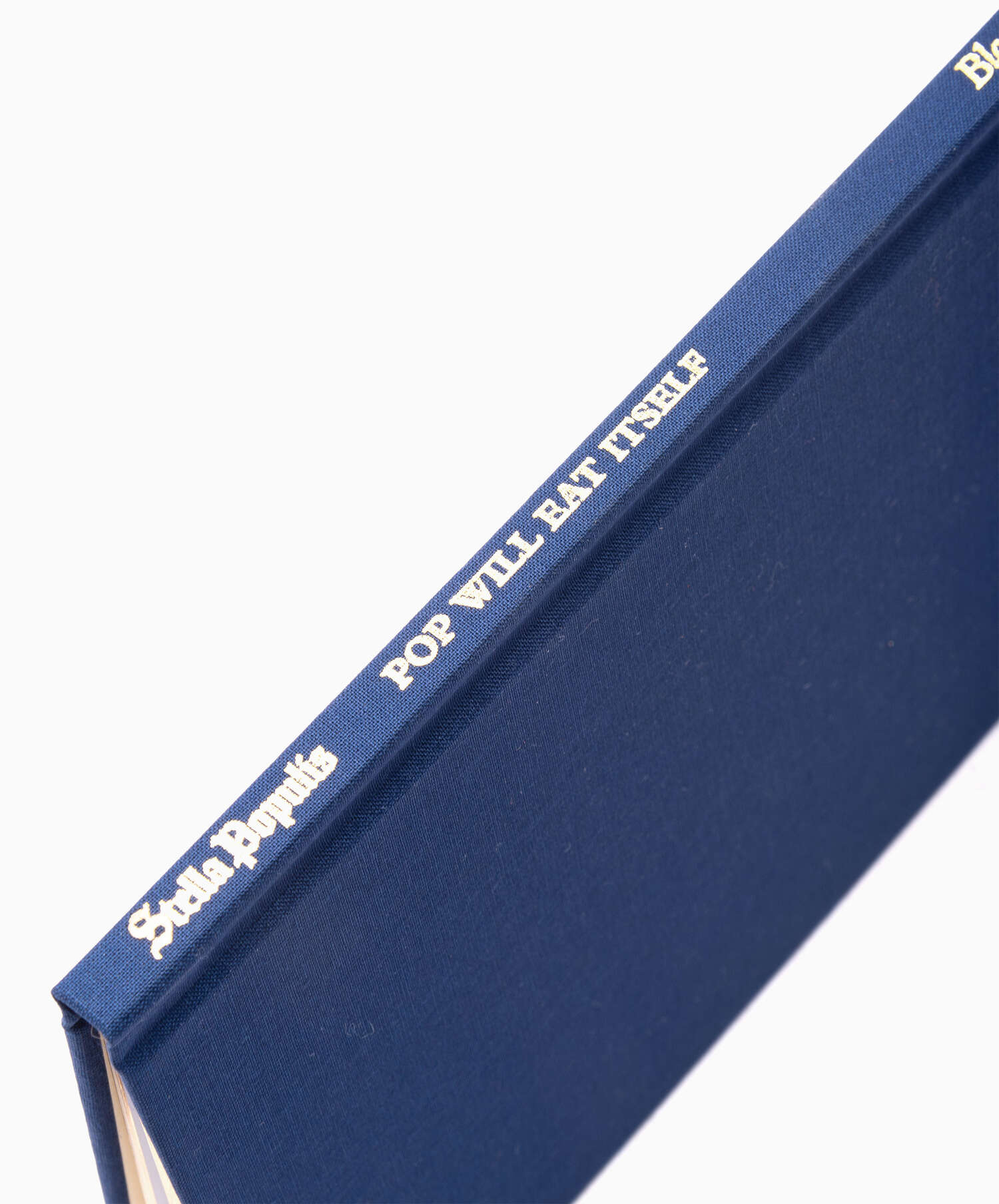 Books Magazines IDEA Stella Populis by Blondey - IDEA-SS21-36