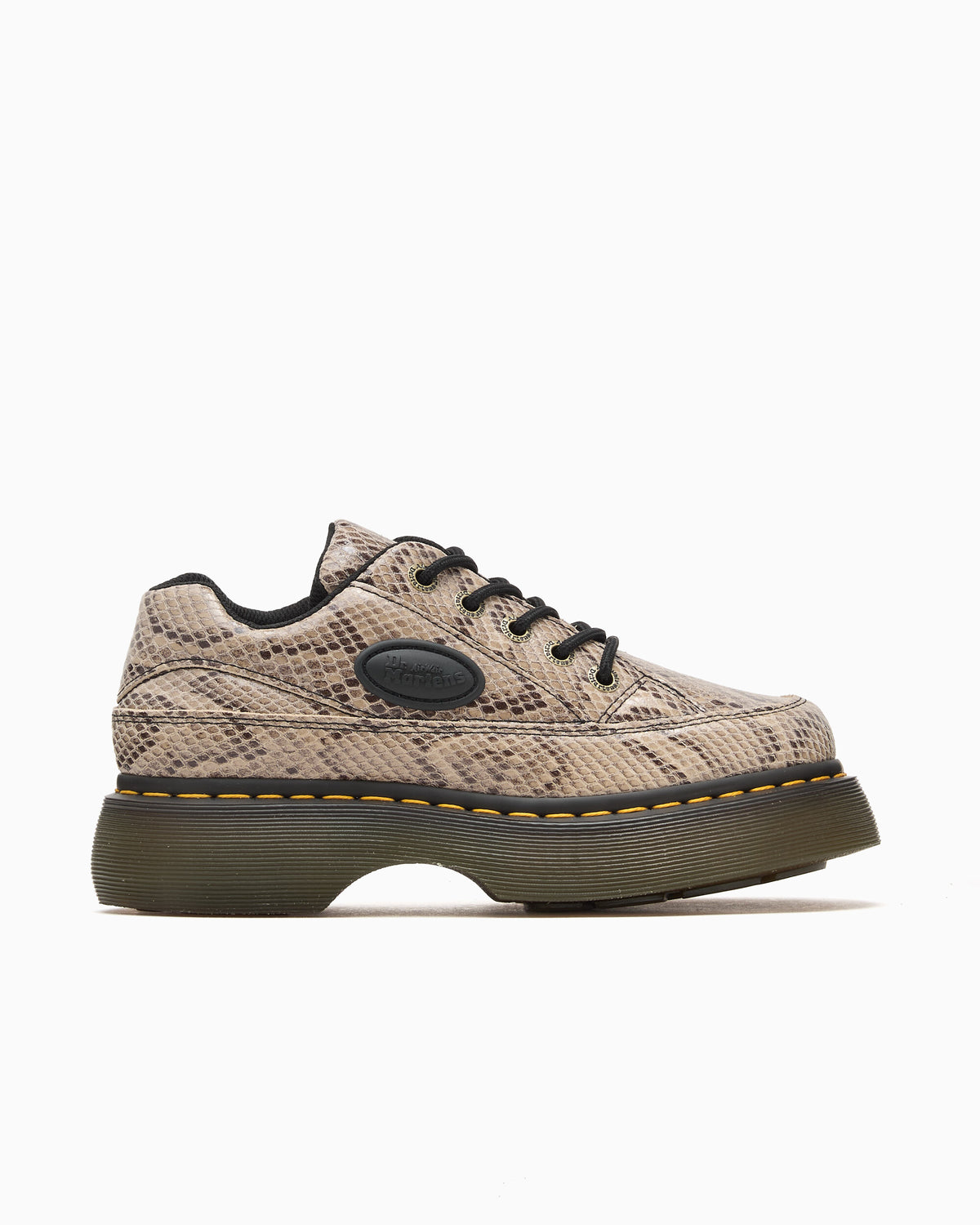 Shoes Dr. Martens Buzz 5i " Snake" Women's Shoes - 44038100
