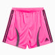 adidas Performance Teamgeist Adicolor Korte Broek voor heren