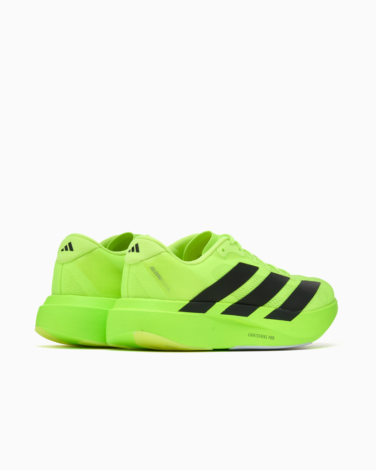 Sneakers adidas Performance Adizero Evo SL Continental - JR5839