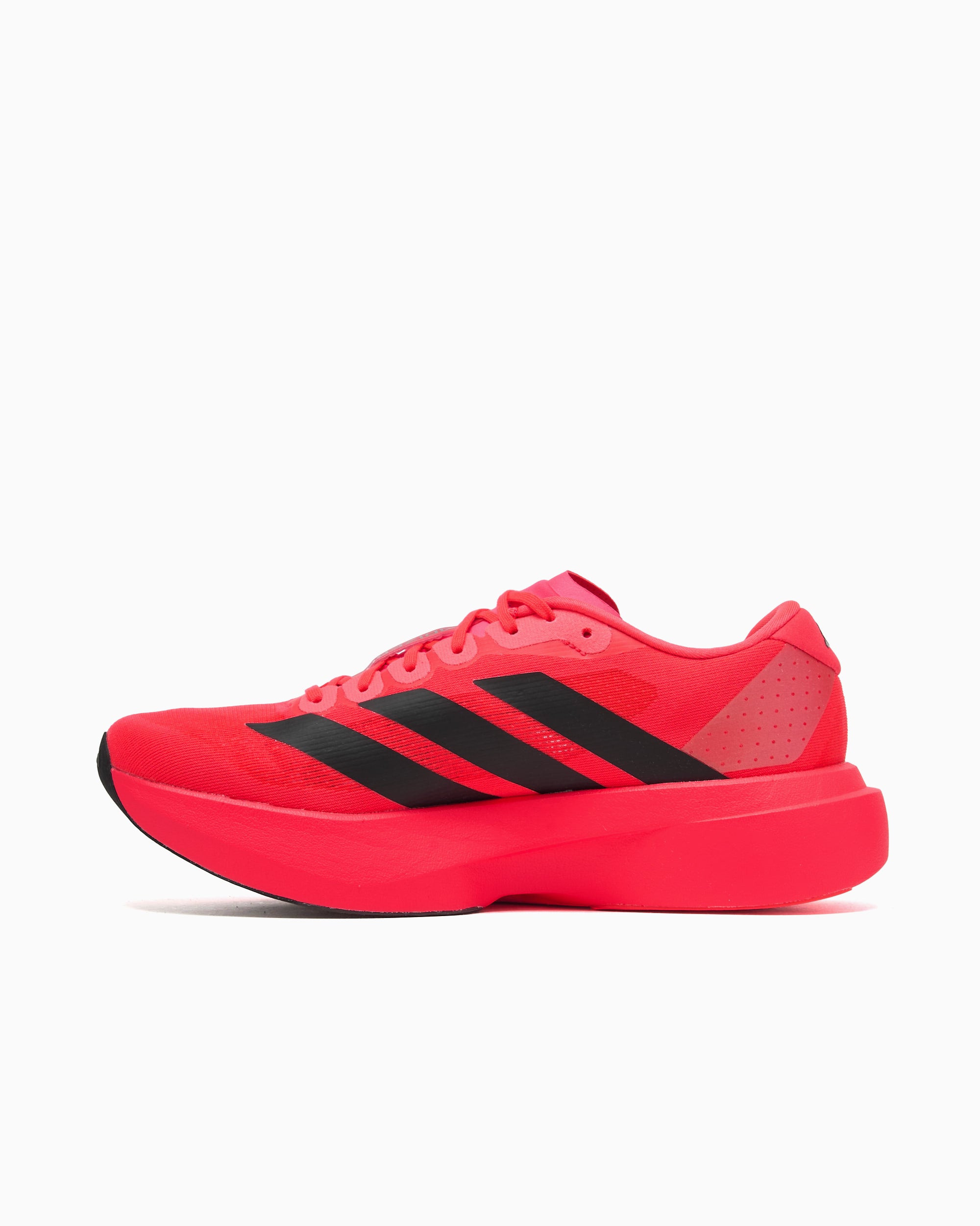 Sneakers adidas Performance Adizero EVO SL - JS4492