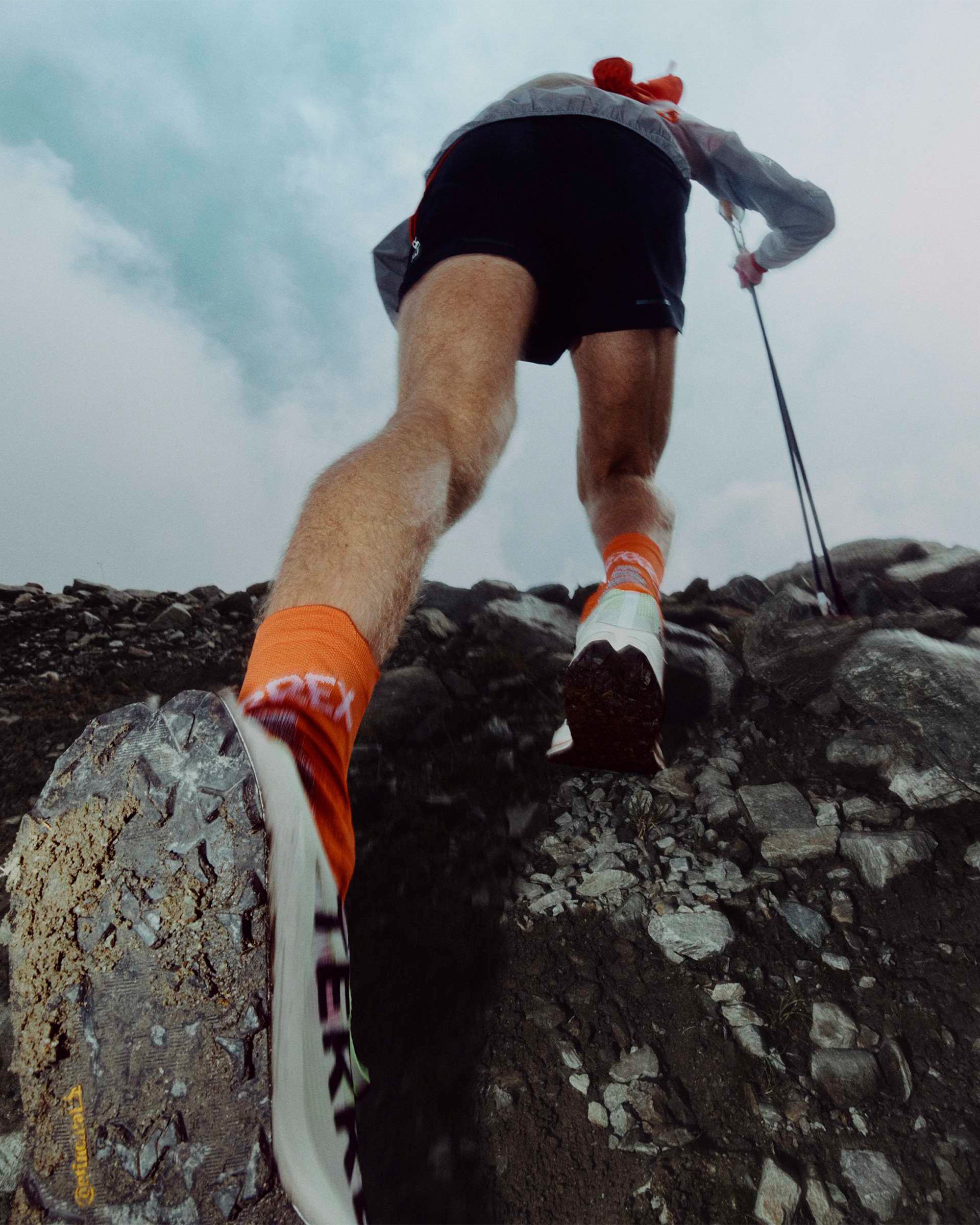 Sneakers adidas ® Terrex Agravic TT Trail - HP7011