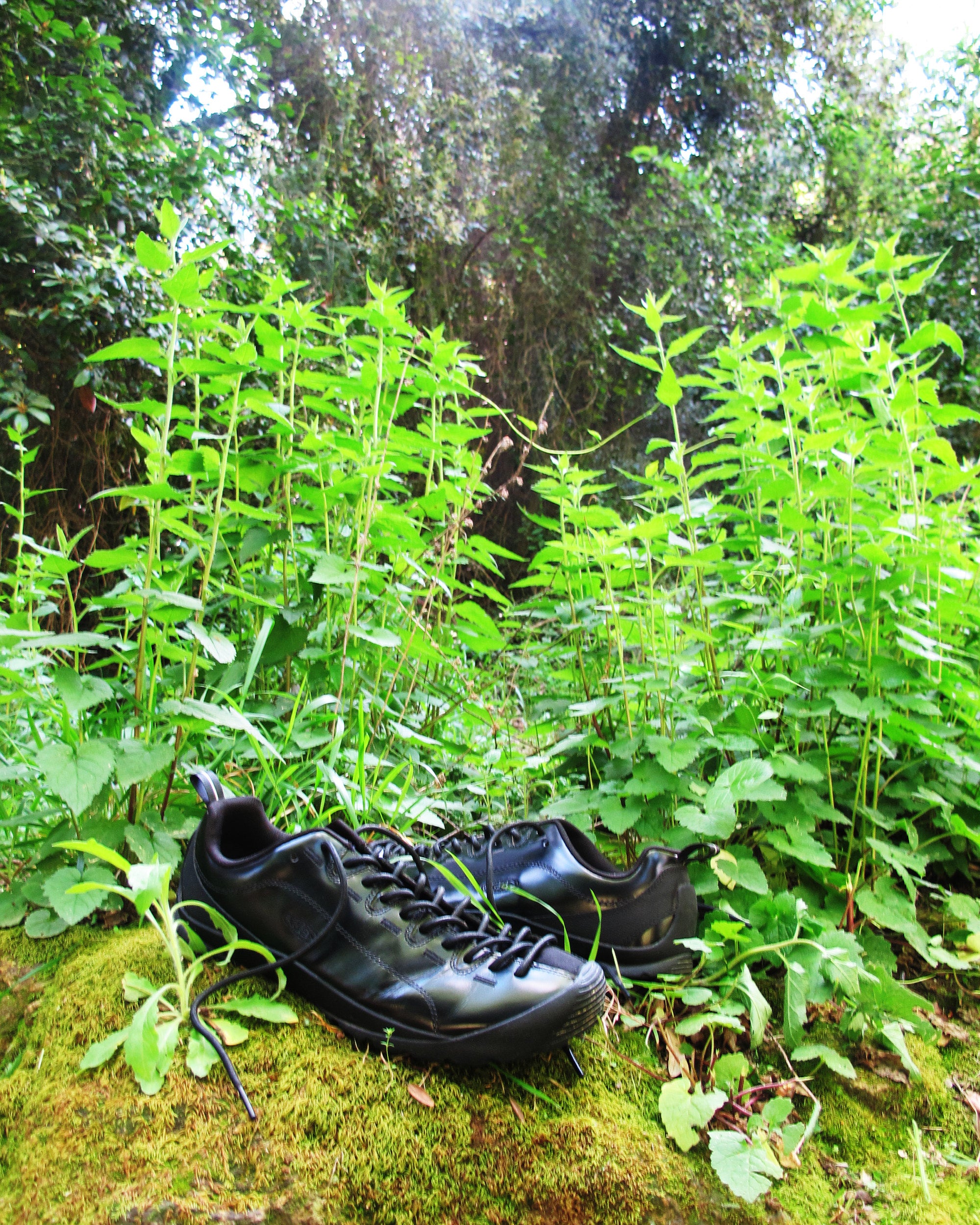 Sneakers KEEN Jasper "Perseid Pack" - 1031712
