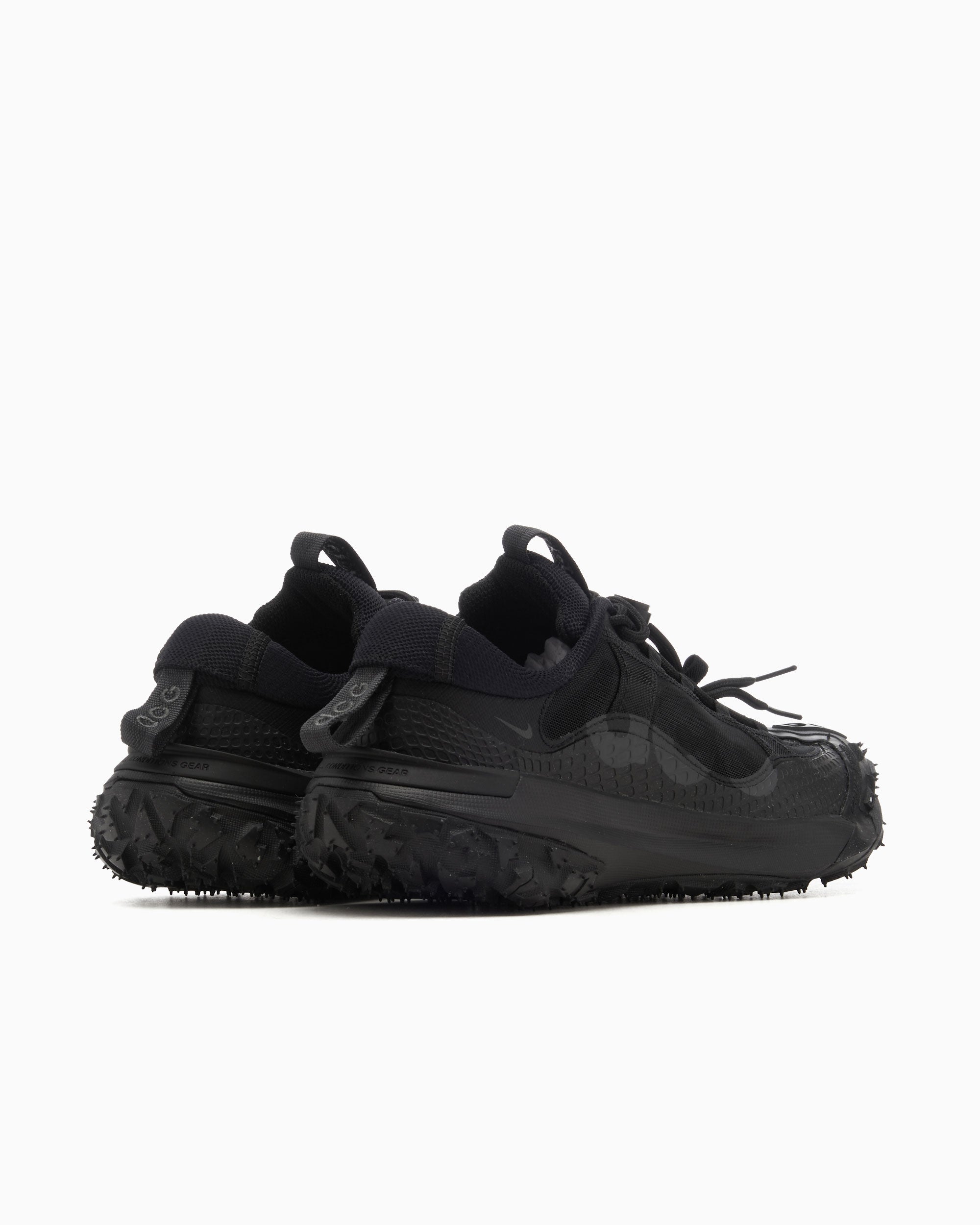 Nike ACG Mountain Fly 2 Low
