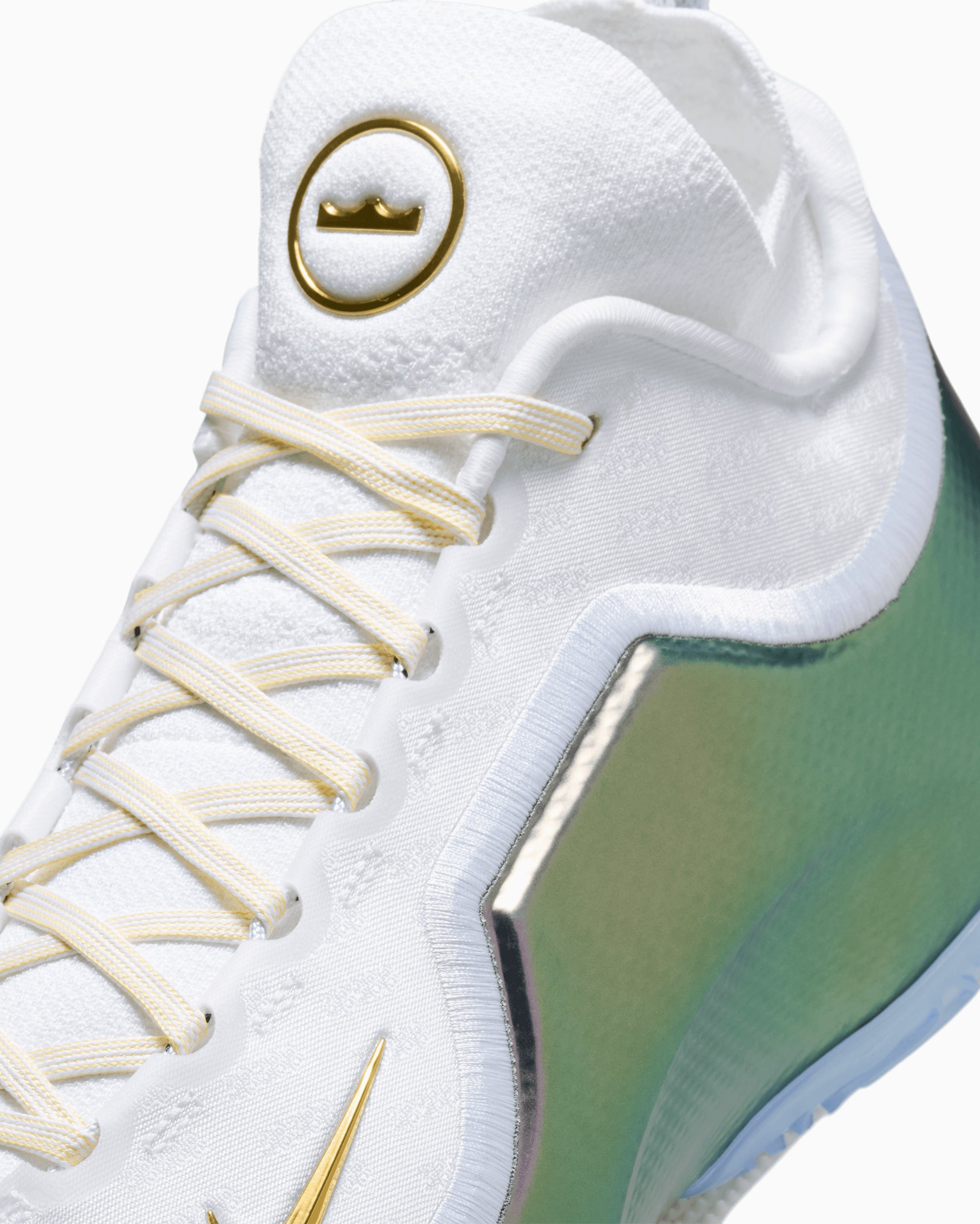 Sneakers Nike LeBron 23 Elite "For The Record" - IB9557-100