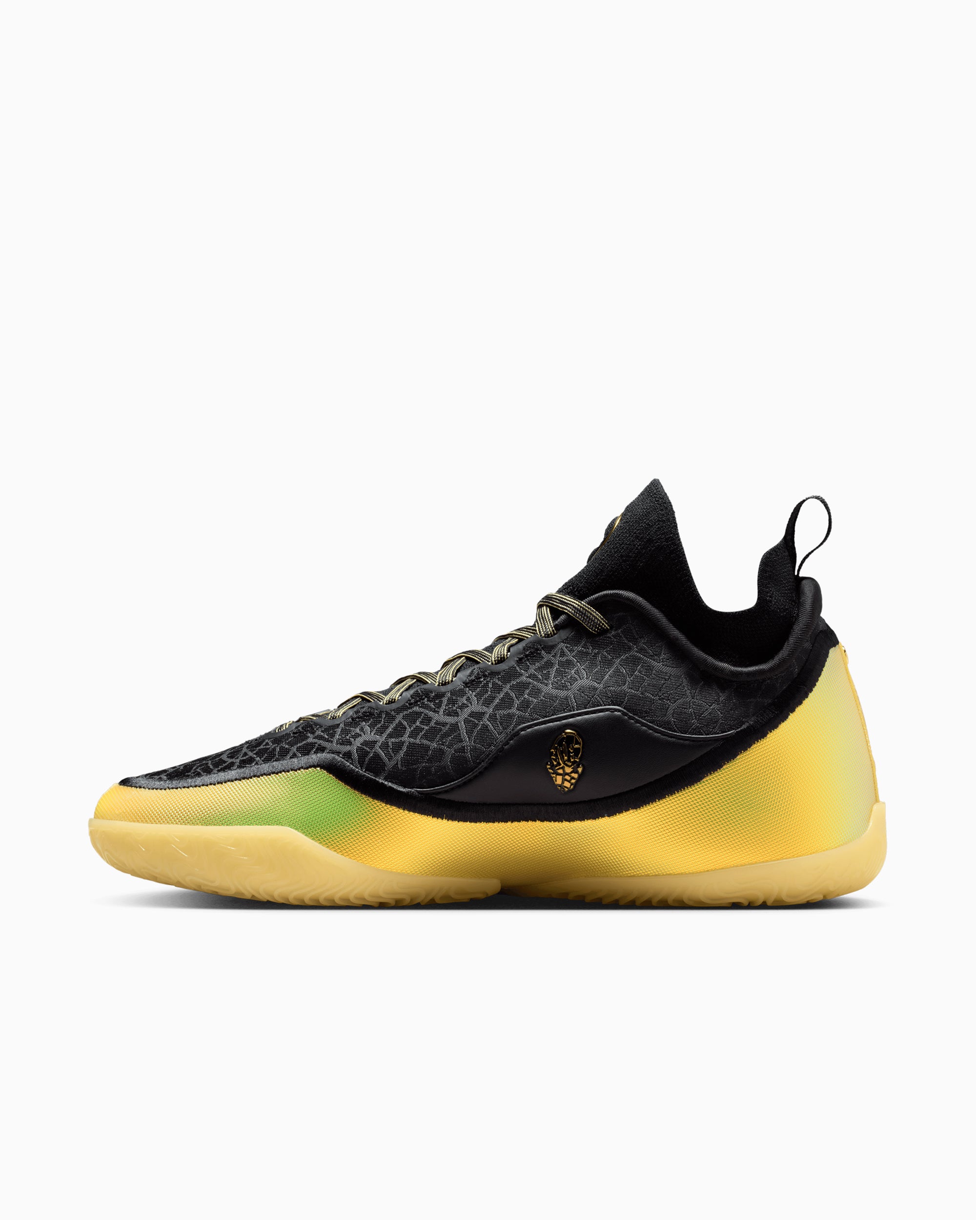 Sneakers Nike LeBron 23 Elite "Hurt Feelings Write History" - IB9557-002