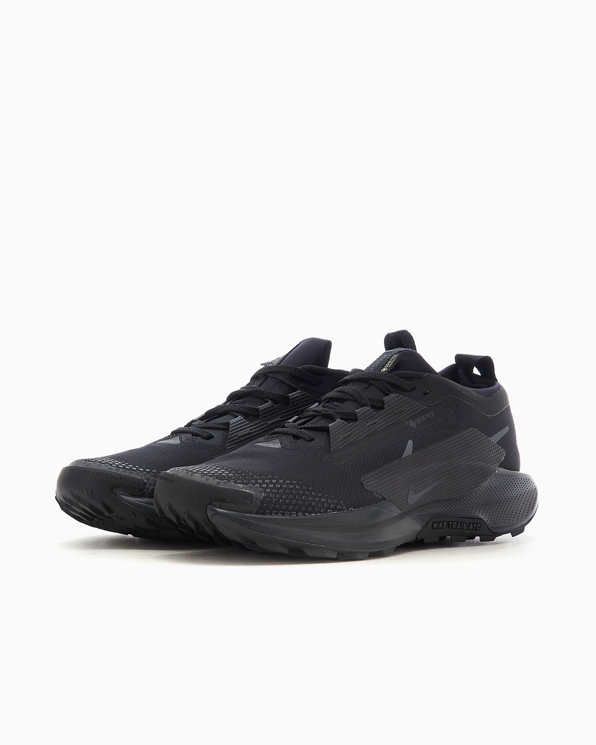 Sneakers Nike Pegasus Trail 5 Gore-Tex® - FQ0908-002