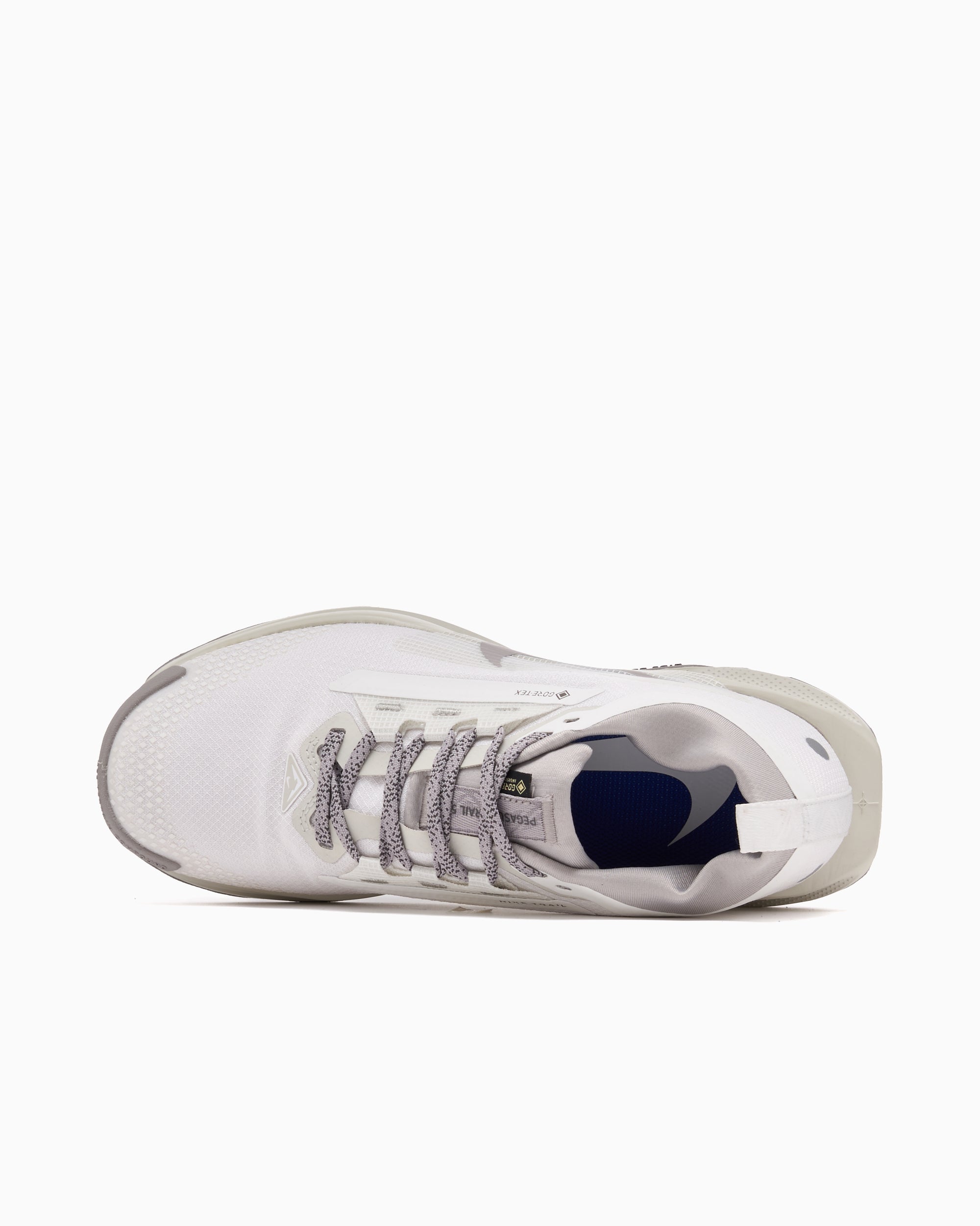 Sneakers Nike Reactx Pegasus Trail 5 Gore-Tex® SP - HQ7494-100