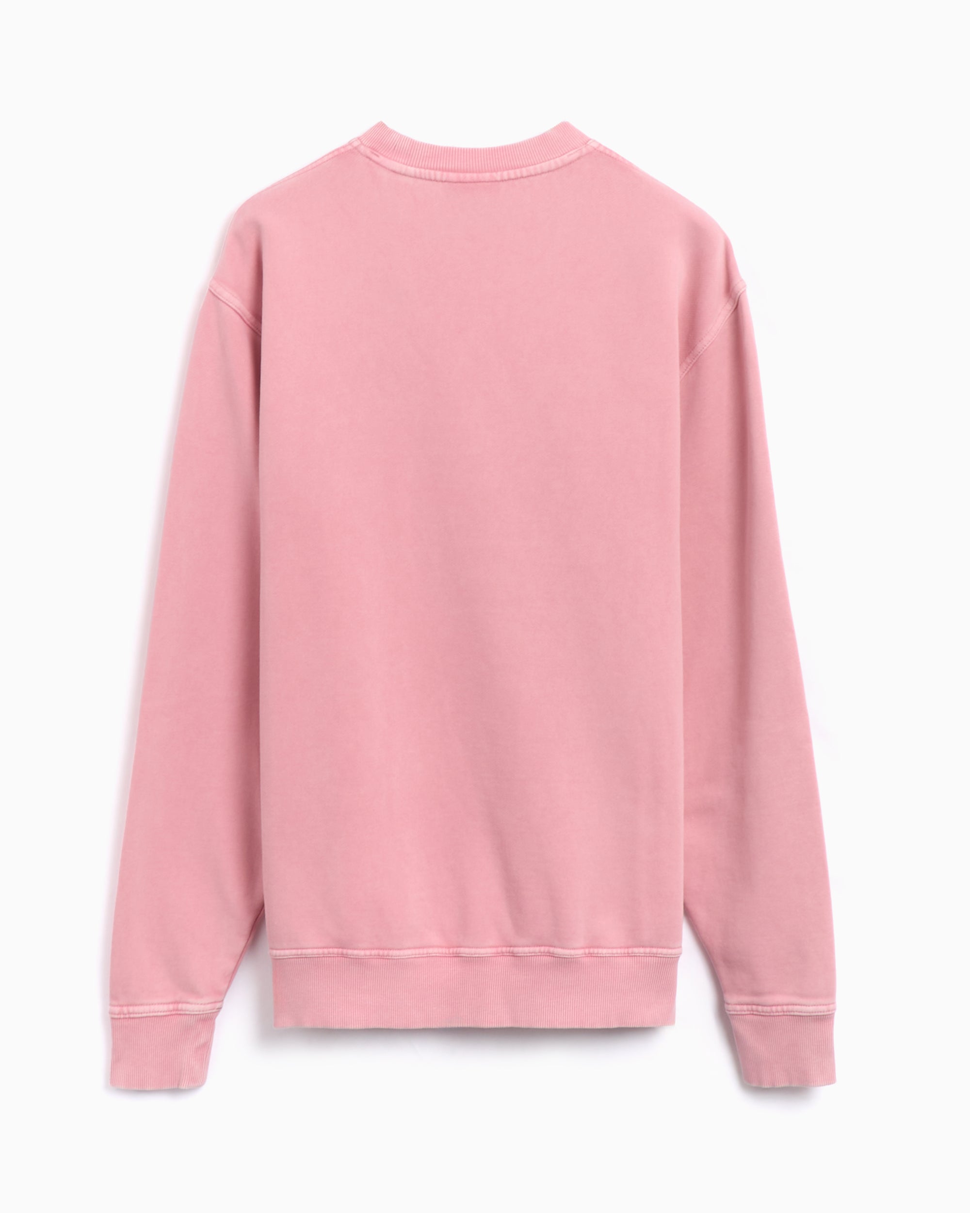 Sweatshirts Dickies Plentywood Men's Sweatshirt Men's Sweatshirt - DK0A864HK391