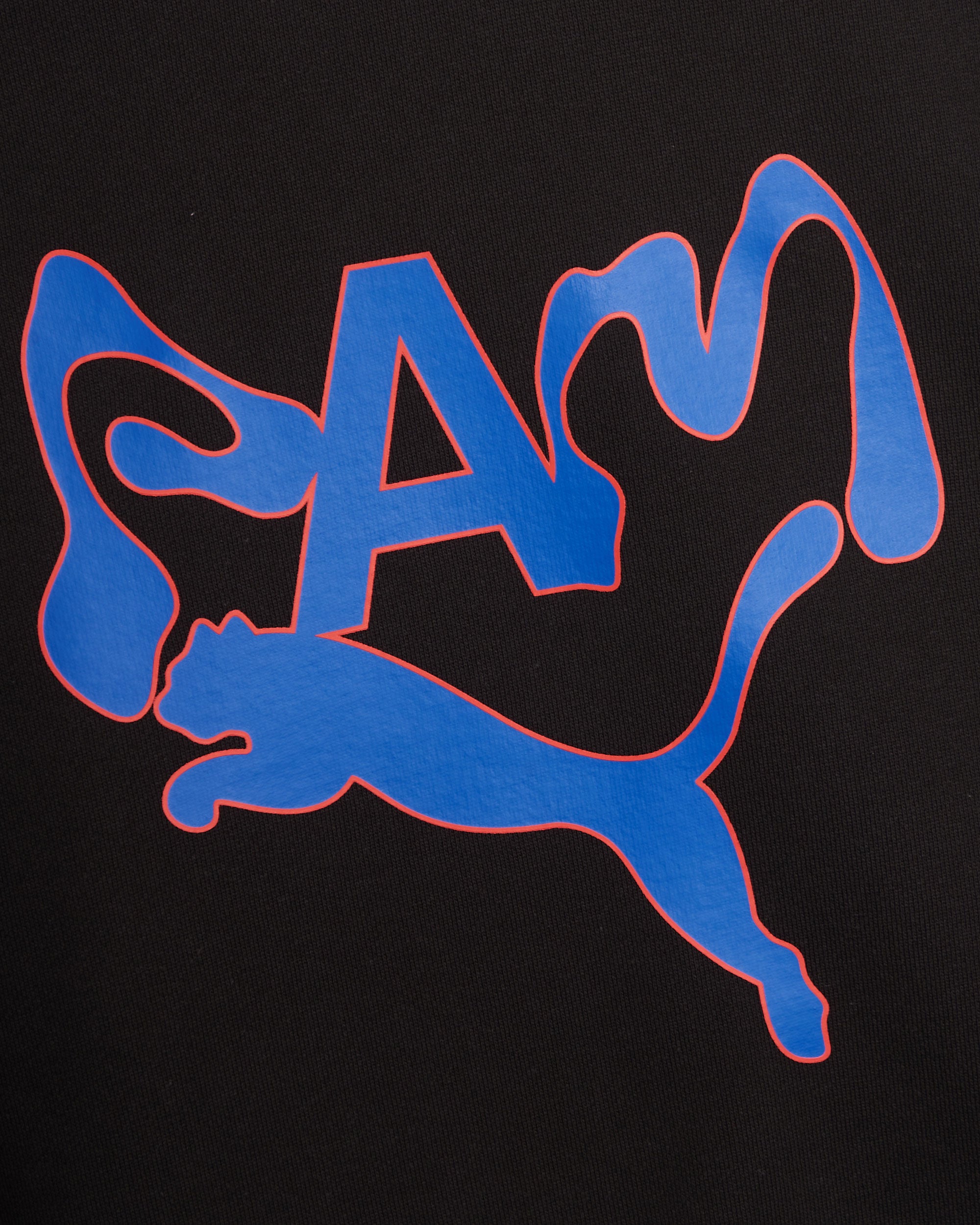 Sweatshirts Puma x P.A.M. Unisex Sweatshirt - 620231-01