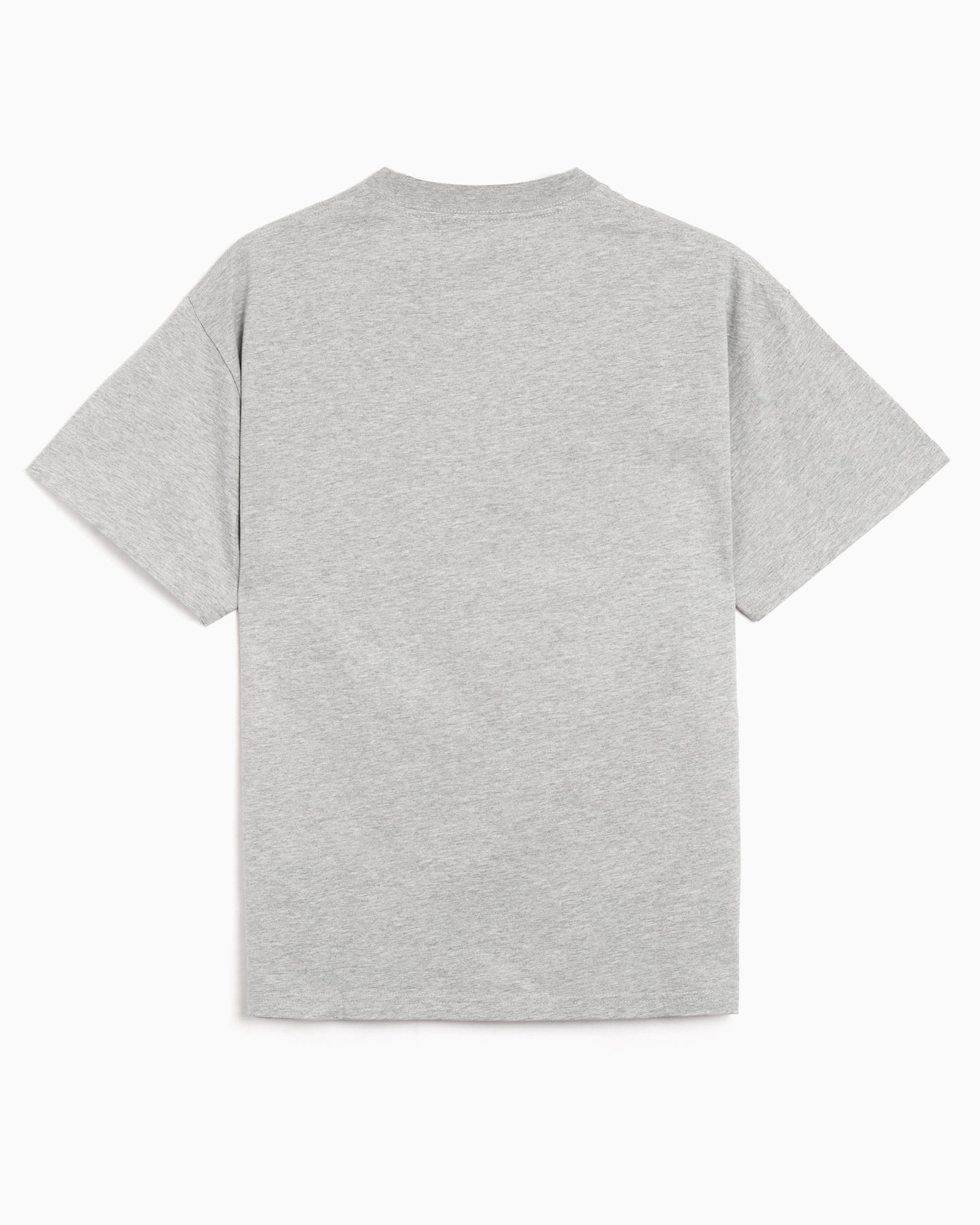 T-Shirts Pleasures Stimulation Graphic Relaxed Men's T-Shirt - P26SP066-HEATHER